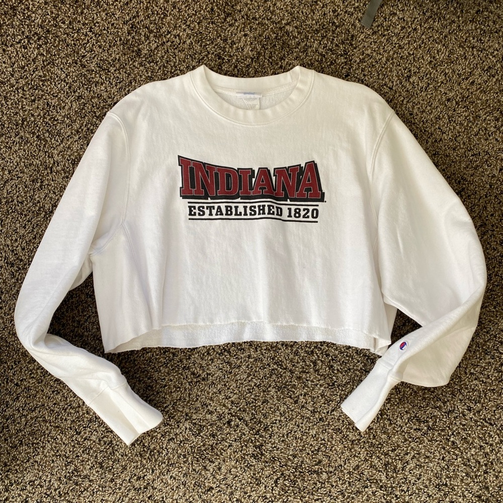 IU cropped sweatshirt